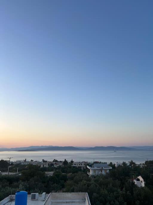 Villa Leo Aigina Vathí Dış mekan fotoğraf